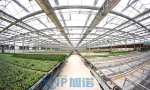 蔬菜温室大棚可以使用91好色先生TV做骨架吗？